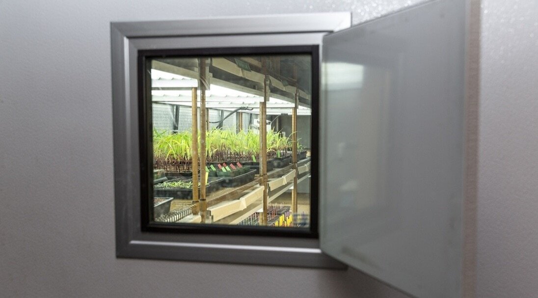 Boyce Thompson Institute Plant Growth Room
