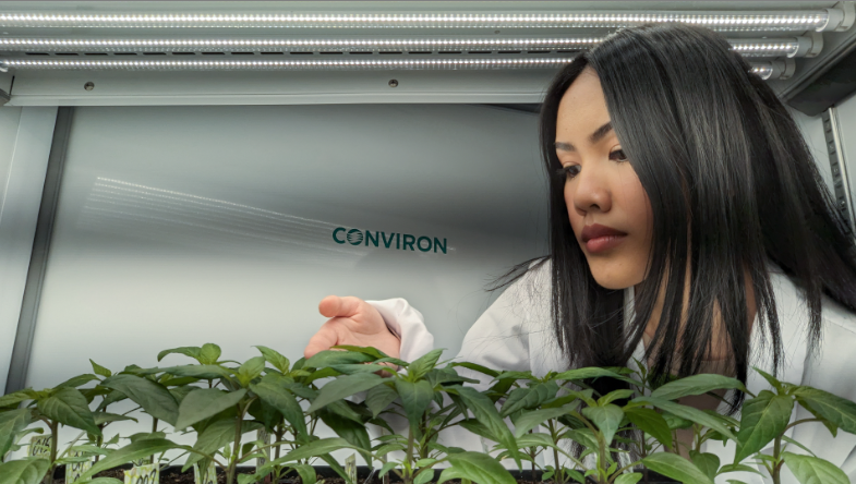 Researcher inspects plants in a plant growth chamber