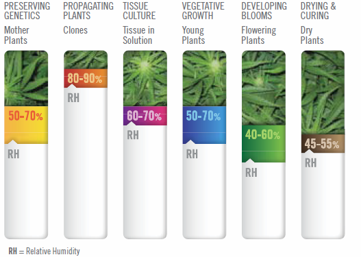 Ideal temperature for growing weed