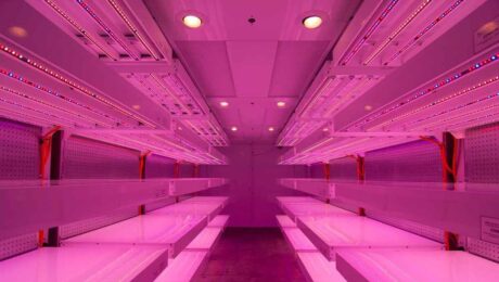germination-room-philips-LED