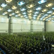 donald-danforth-phenotyping-lemnatech 5