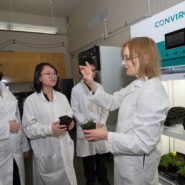 BCIT-short-plant-growth-chamber-students 1