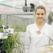 sheffield-university-researcher-plant-growth-room 20