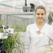 sheffield-university-researcher-plant-growth-room 21