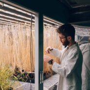 sheffield-university-researcher-plant-growth-room 4