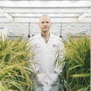 sheffield-university-researcher-plant-growth-room 8