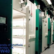 university-sheffield-growth-rooms 20