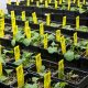 walk-in-plant-grow-room-canola 5