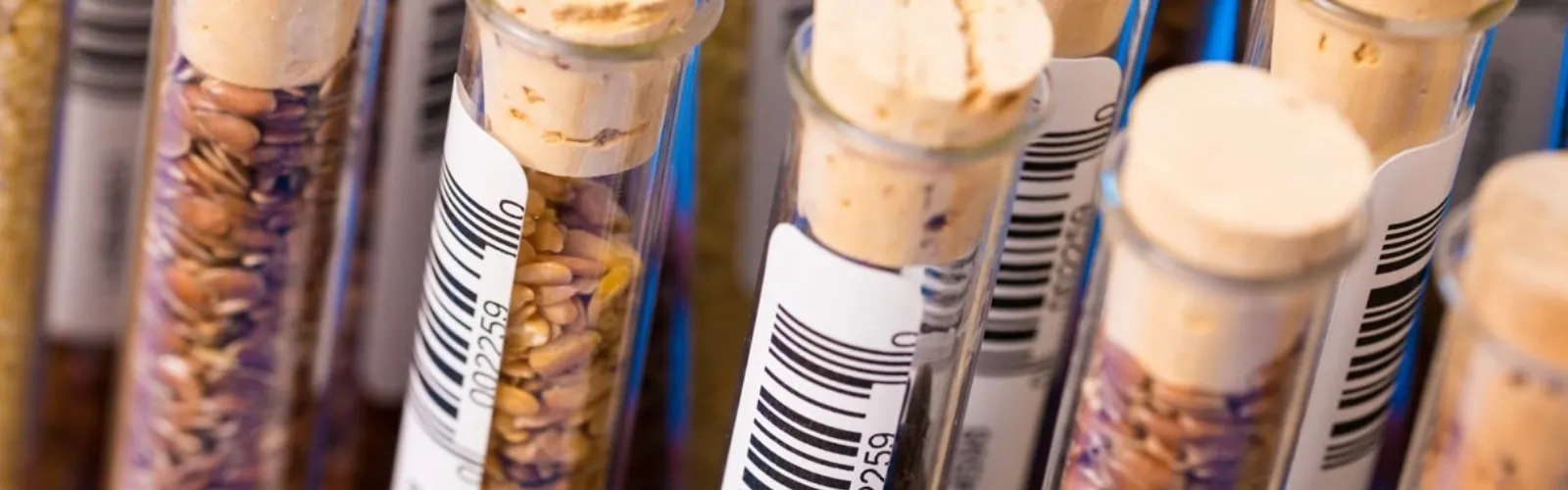 seed-storage