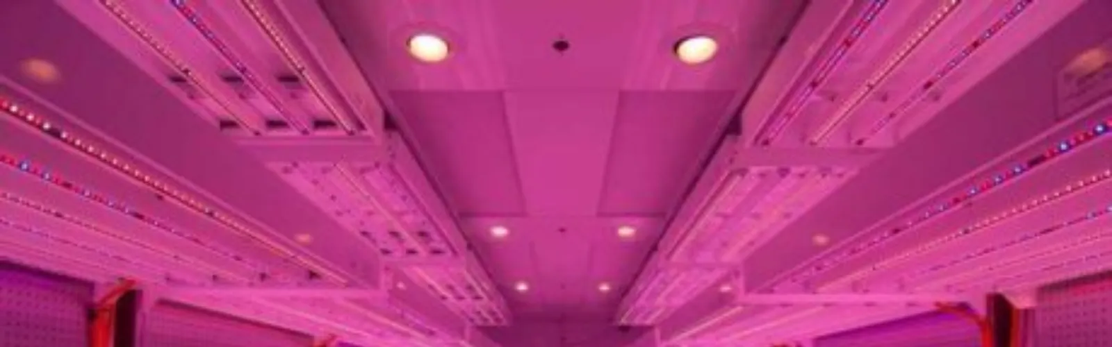 germination-room-philips-LED 3