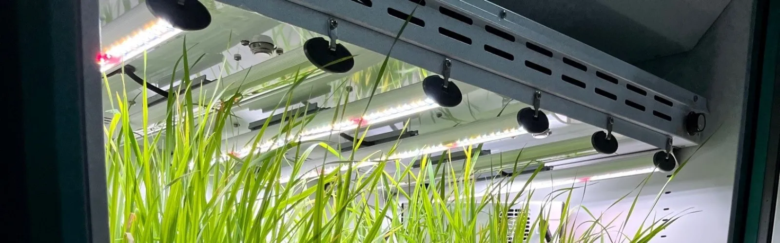 CSIRO BM 2 GEN 1000 LED 1