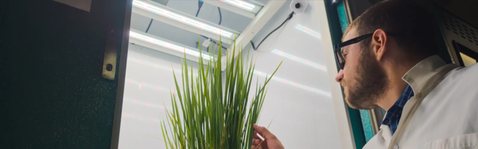 PGR15 LED retrofit