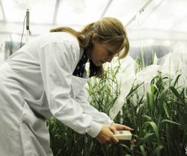 McElwain-lab-plant-researchers-7