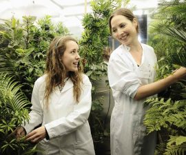 McElwain lab-plant-researchers