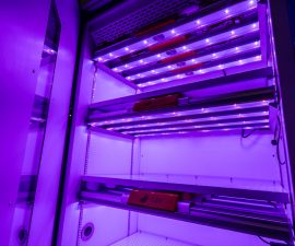 led-lighting-plant-growth-chamber 1
