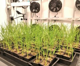 EXO Modular Plant Growth Room