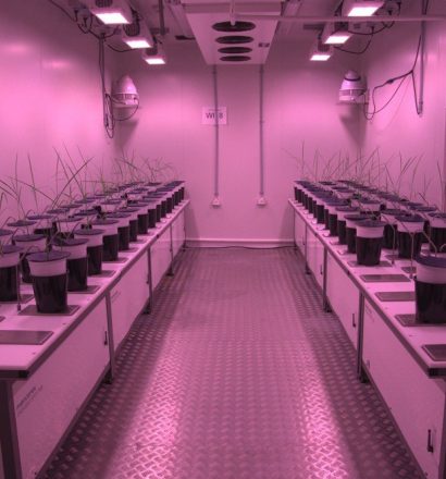 APPN Plant Growth Chambers and Rooms GR