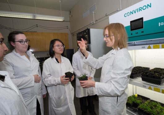 BCIT-short-plant-growth-chamber-students