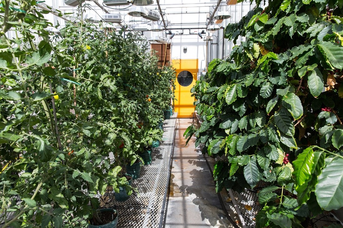 BTI Argus Controlled Greenhouses